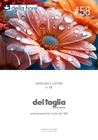 del taglia - listino 58